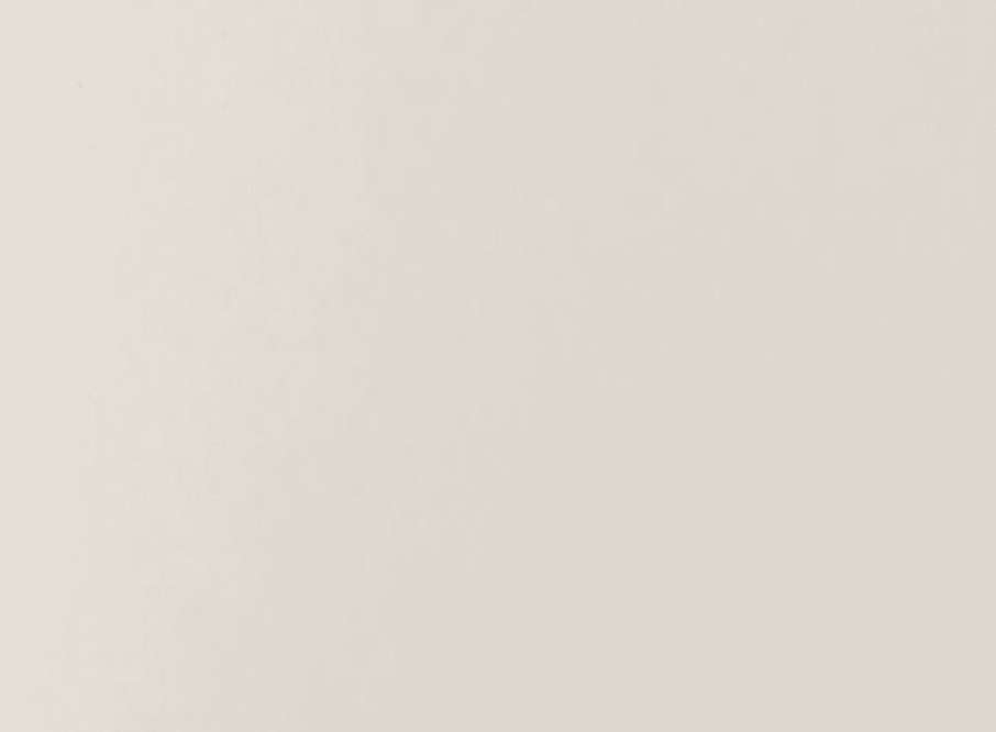 6002033 - PAQ. 125H 160GSM SHIRO ECHO BIANCO 70X100CM