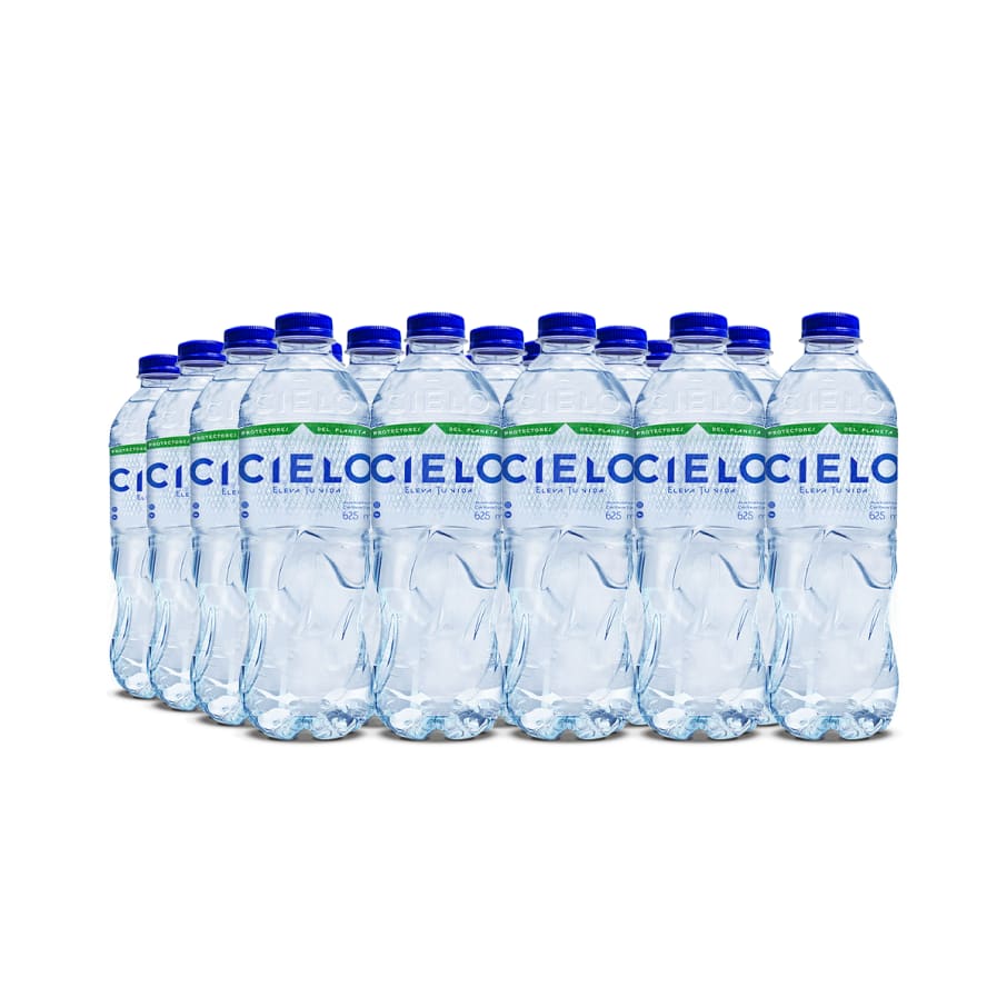  AJE CIELO AGUA PET NO RETORNABLE 625 ML 20 PACK                      