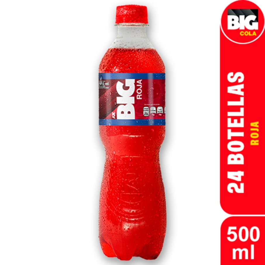 BIG ROJA PET NO RETORNABLE 500 ml 24 pack