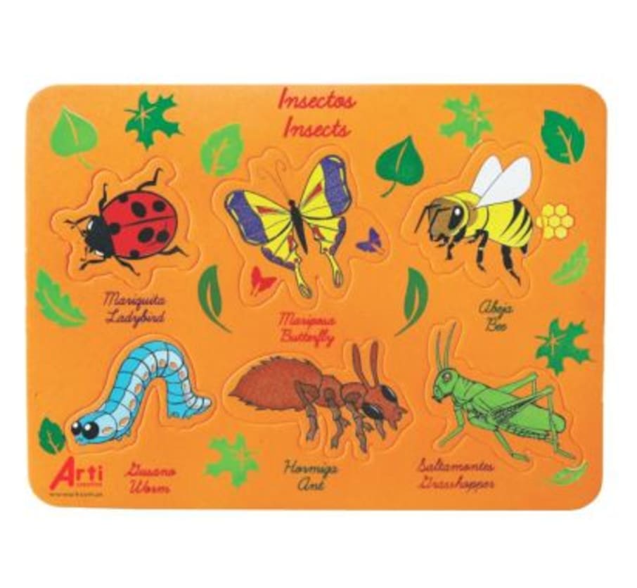 JUEGO G/EVA D/ENCAJE INSECTOS TACJUEDI009