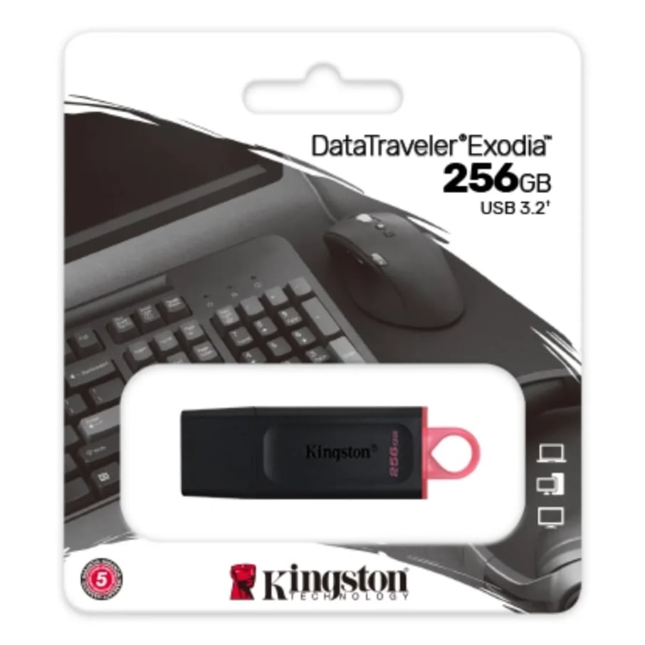 USB KINGSTON 256GB DTX 3.2 NEGRO