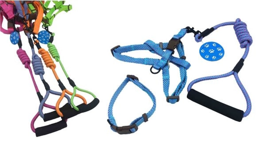 CORREA C/ARNES+COLLAR PEQUENA M/CAUCHO RED 0,8