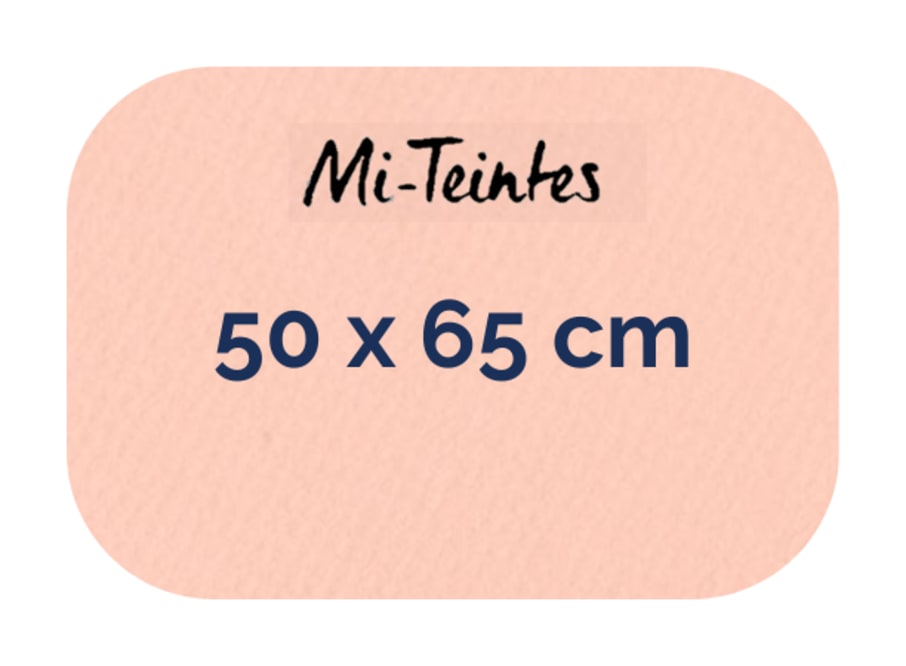 Hoja - Canson - Mi Teintes - 160 GSM - 50x65cm