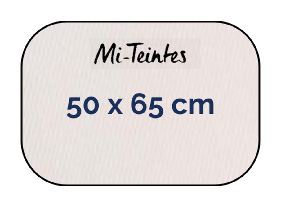 Hoja - Canson - Mi Teintes - 160 GSM - 50x65cm