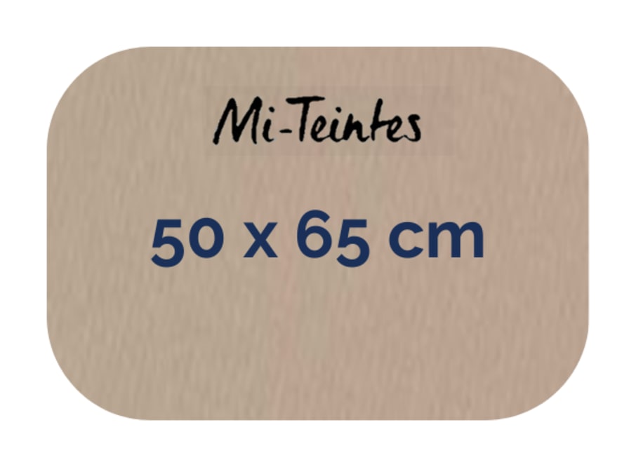 Hoja - Canson - Mi Teintes - 160 GSM - 50x65cm