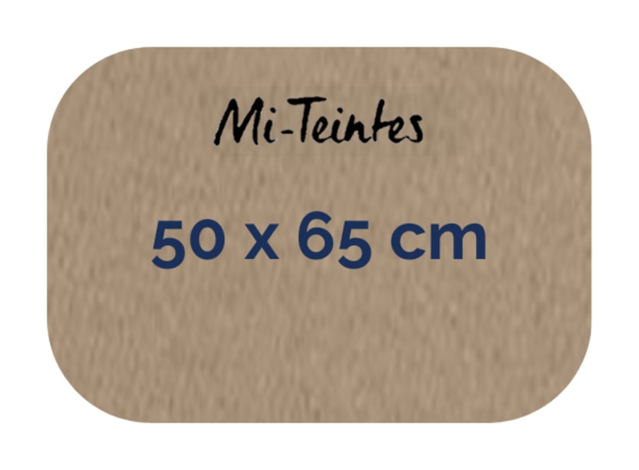 Hoja - Canson - Mi Teintes - 160 GSM - 50x65cm