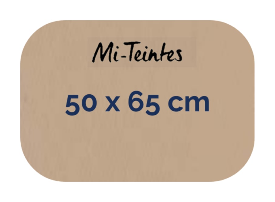 Hoja - Canson - Mi Teintes - 160 GSM - 50x65cm