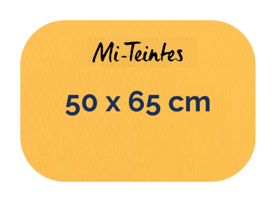 Hoja - Canson - Mi Teintes - 160 GSM - 50x65cm