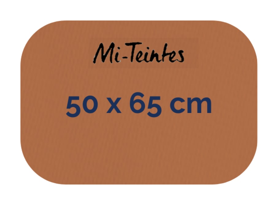 Hoja - Canson - Mi Teintes - 160 GSM - 50x65cm