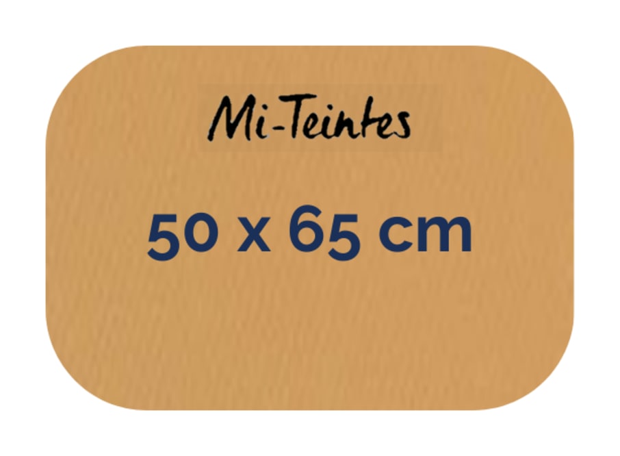 Hoja - Canson - Mi Teintes - 160 GSM - 50x65cm