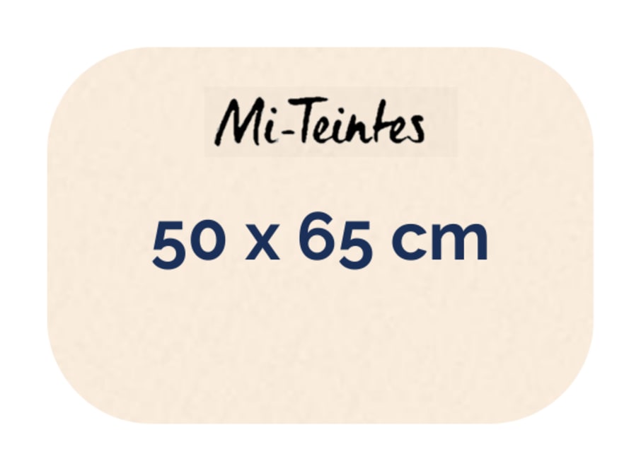 Hoja - Canson - Mi Teintes - 160 GSM - 50x65cm