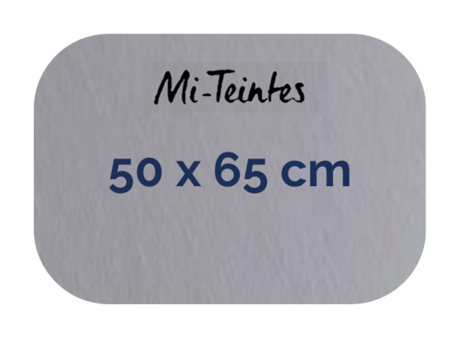 Hoja - Canson - Mi Teintes - 160 GSM - 50x65cm