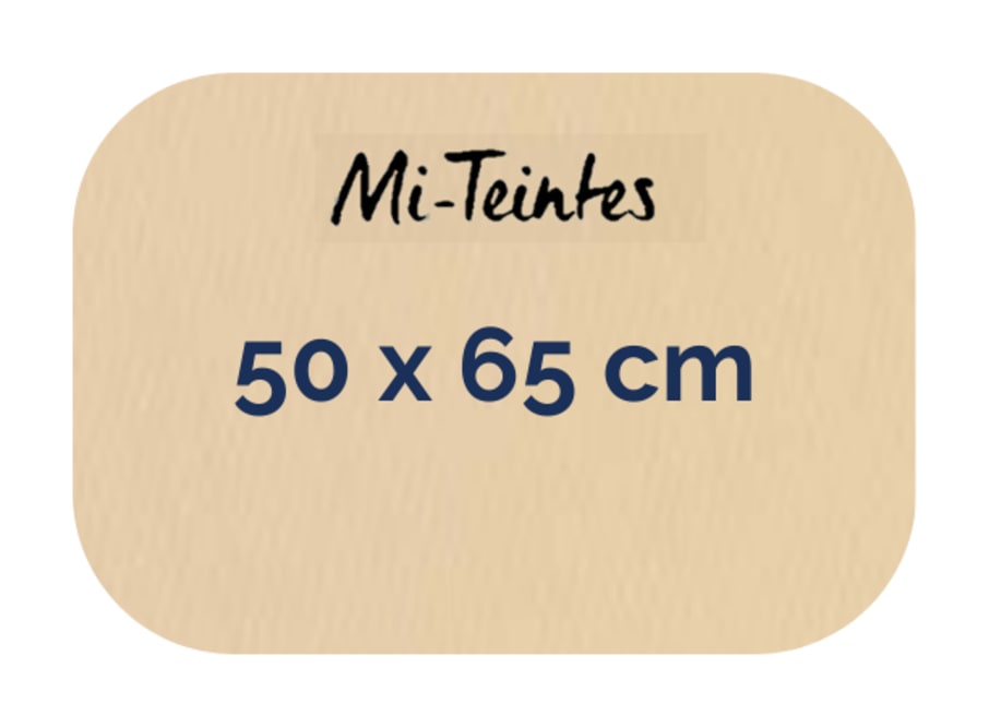 Hoja - Canson - Mi Teintes - 160 GSM - 50x65cm