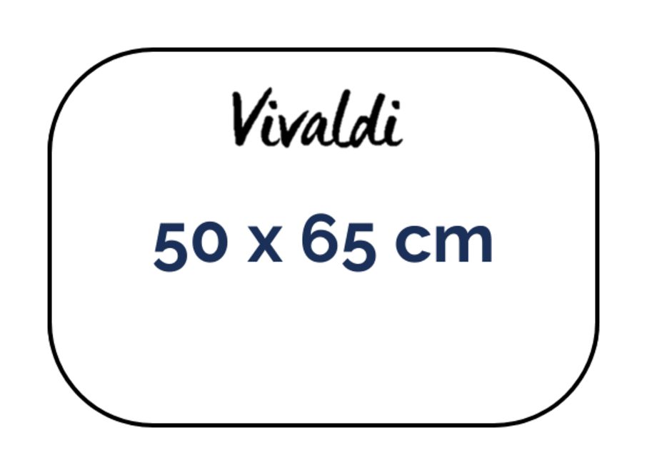 Hoja - Canson - Vivaldi - 185 GSM - 50x65cm