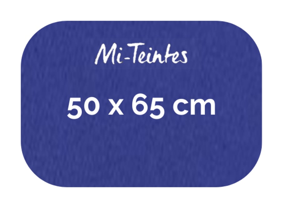 Hoja - Canson - Mi Teintes - 160 GSM - 50x65cm