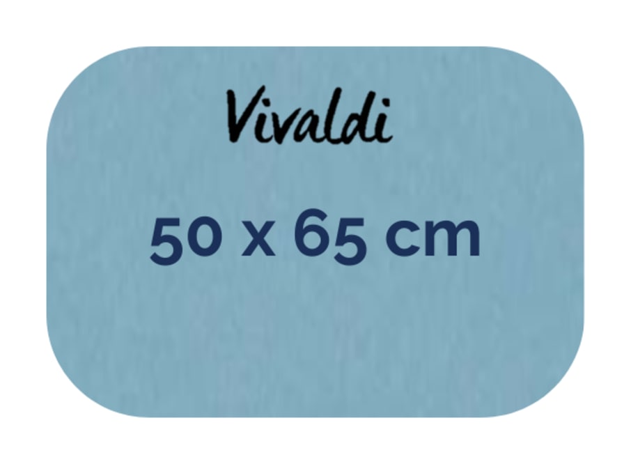 Hoja - Canson - Vivaldi - 185 GSM - 50x65cm