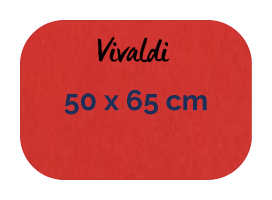 Hoja - Canson - Vivaldi - 185 GSM - 50x65cm