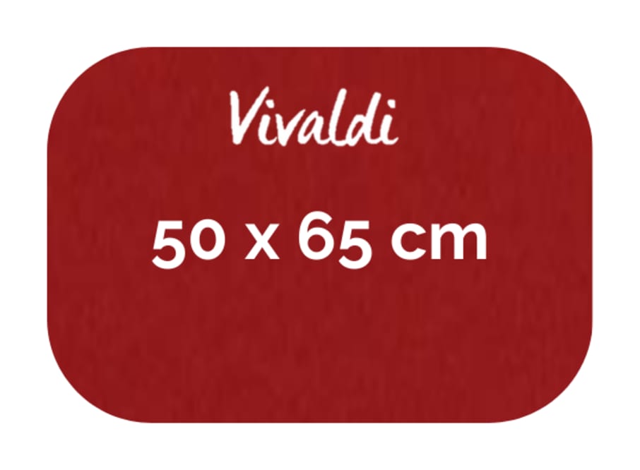 Hoja - Canson - Vivaldi - 185 GSM - 50x65cm