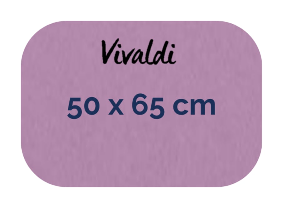 Hoja - Canson - Vivaldi - 185 GSM - 50x65cm
