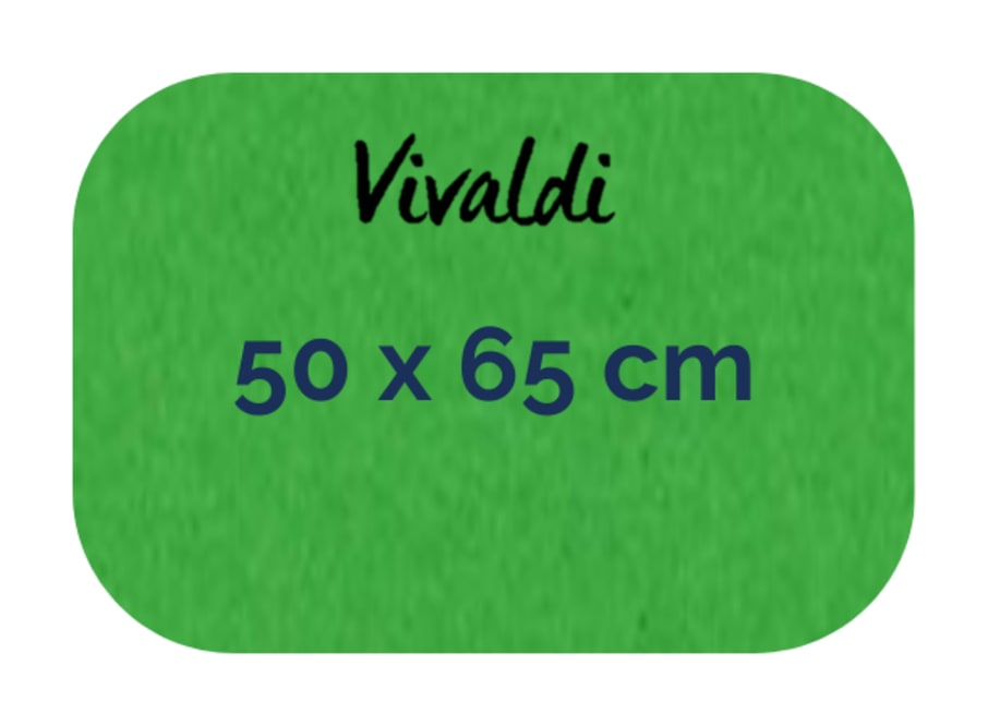 Hoja - Canson - Vivaldi - 185 GSM - 50x65cm