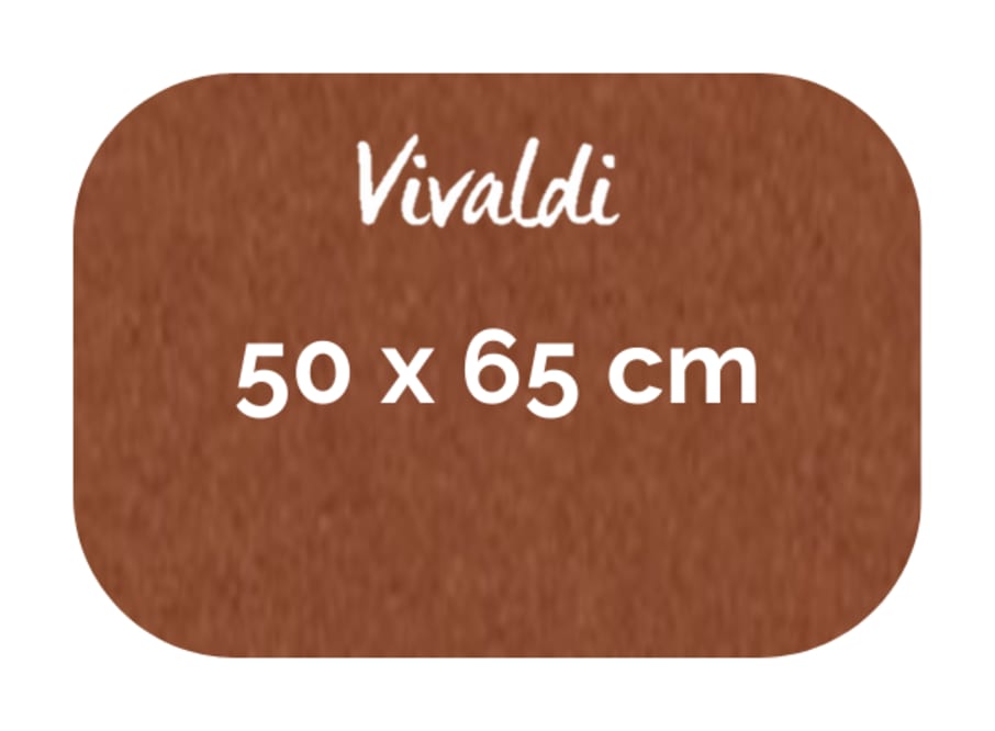 Hoja - Canson - Vivaldi - 185 GSM - 50x65cm