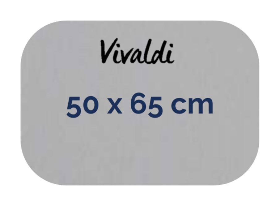 Hoja - Canson - Vivaldi - 185 GSM - 50x65cm