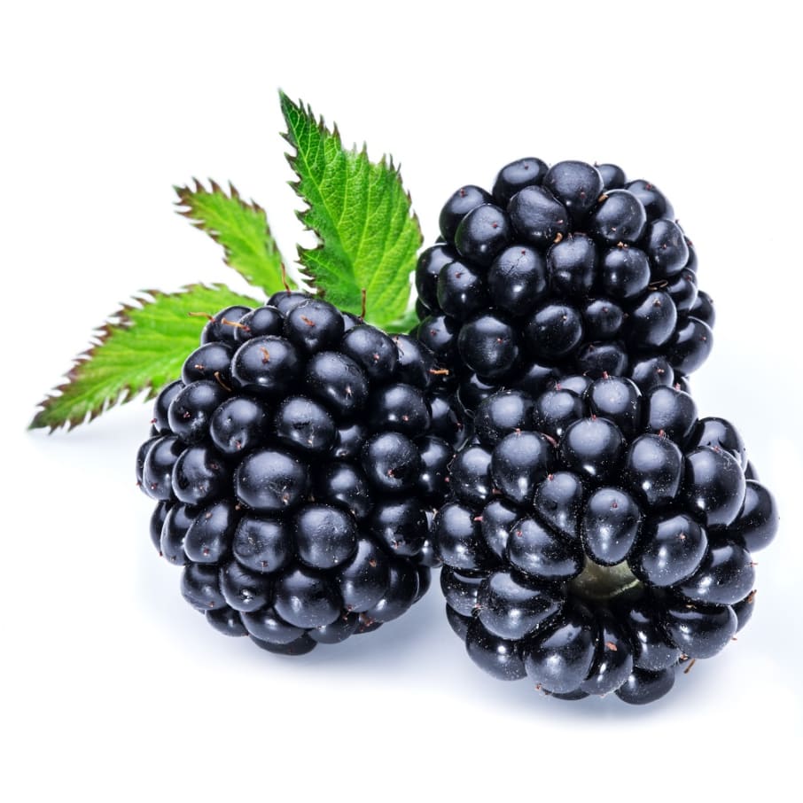 Moras Negras - Blackberrys