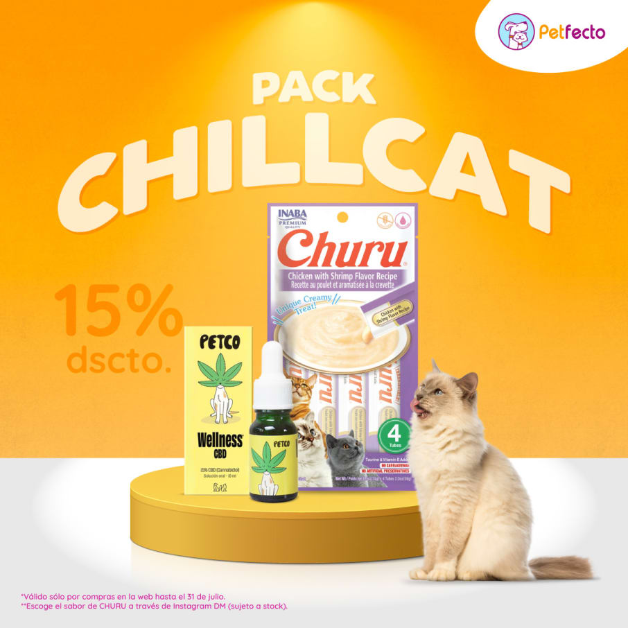 PACK CHILL CAT