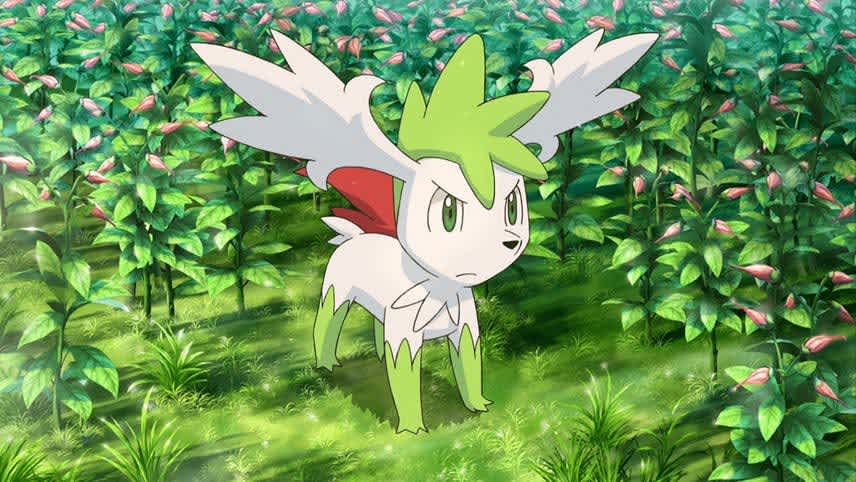 Shaymin
