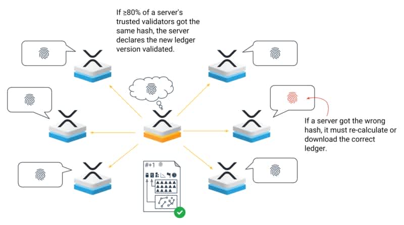 how ripple works