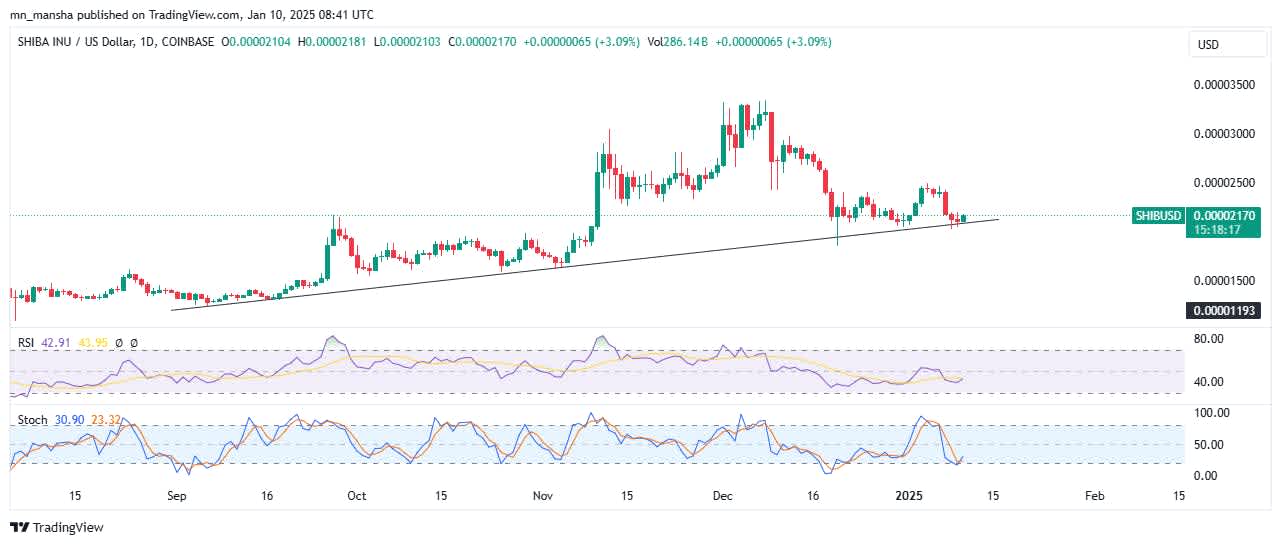 Shiba Inu coin price prediction