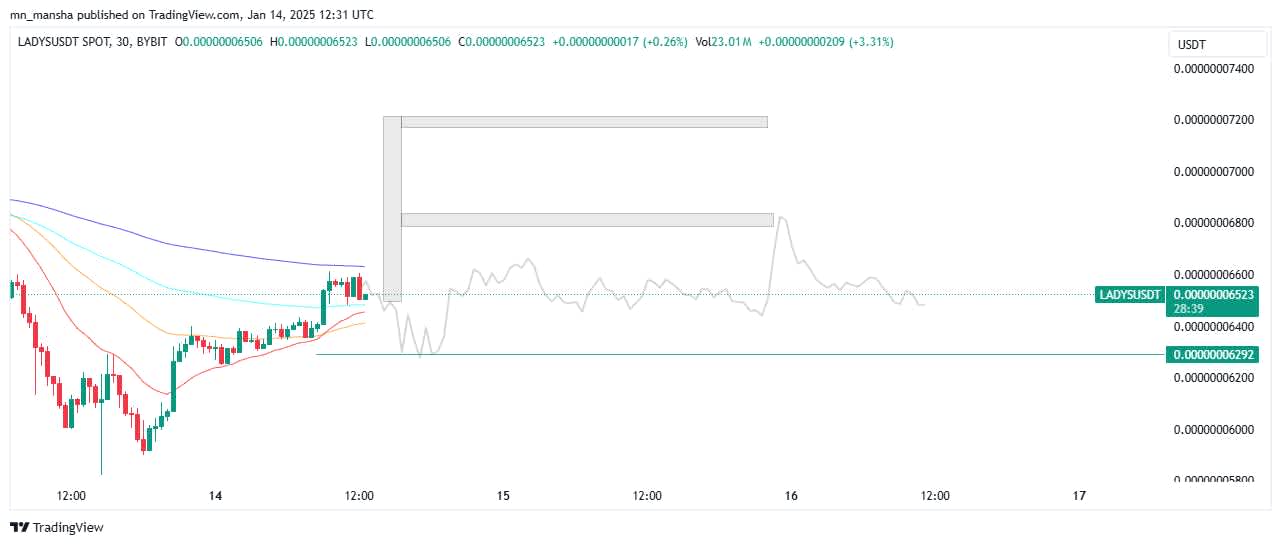 Milady Meme Coin Price Prediction