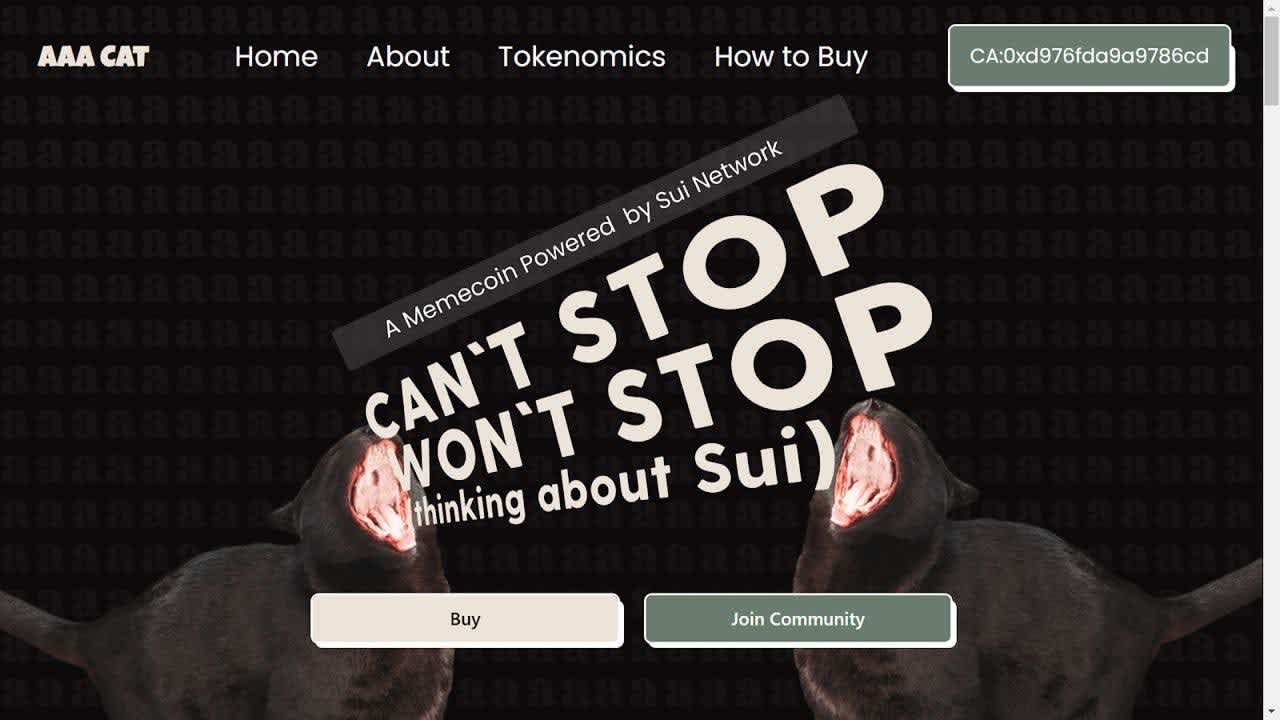 AAA Cat sui meme coin