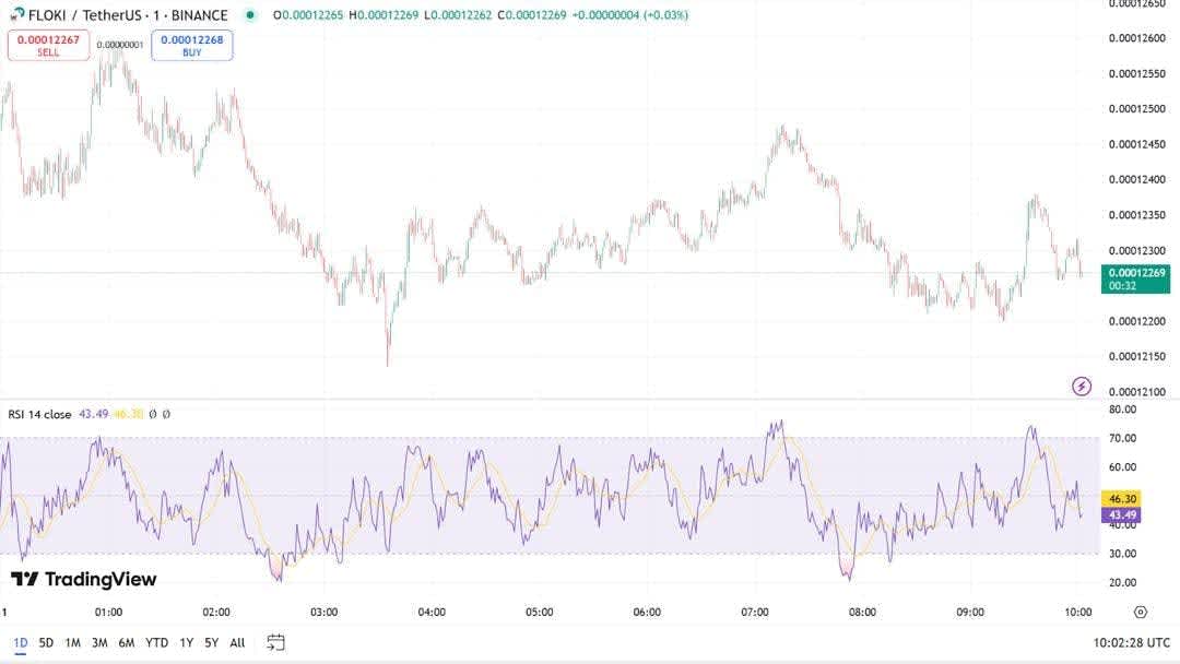 floki price prediction RSI