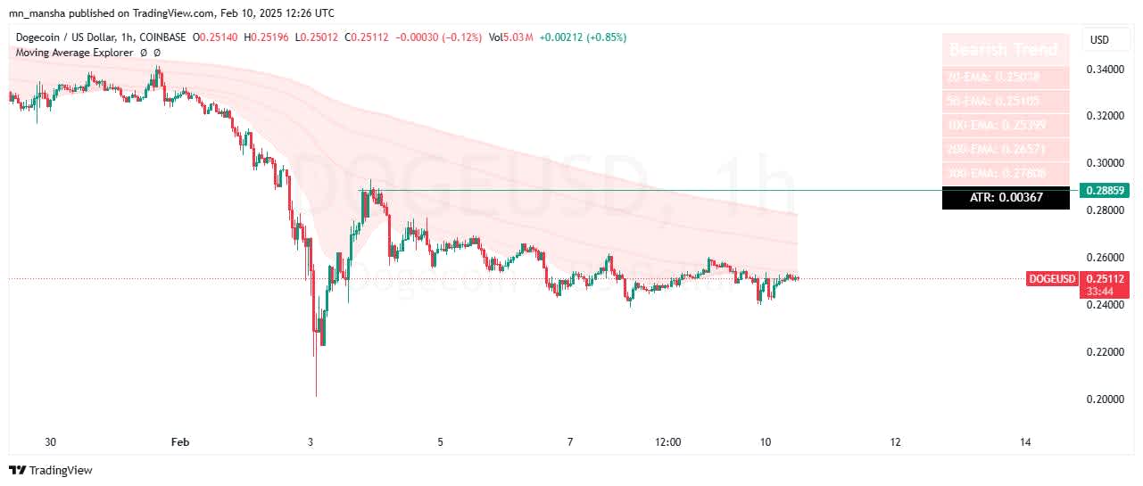 Meme coins: Dogecoin in bull run 2025