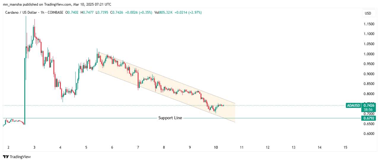 ADA top altcoin to buy march 2025