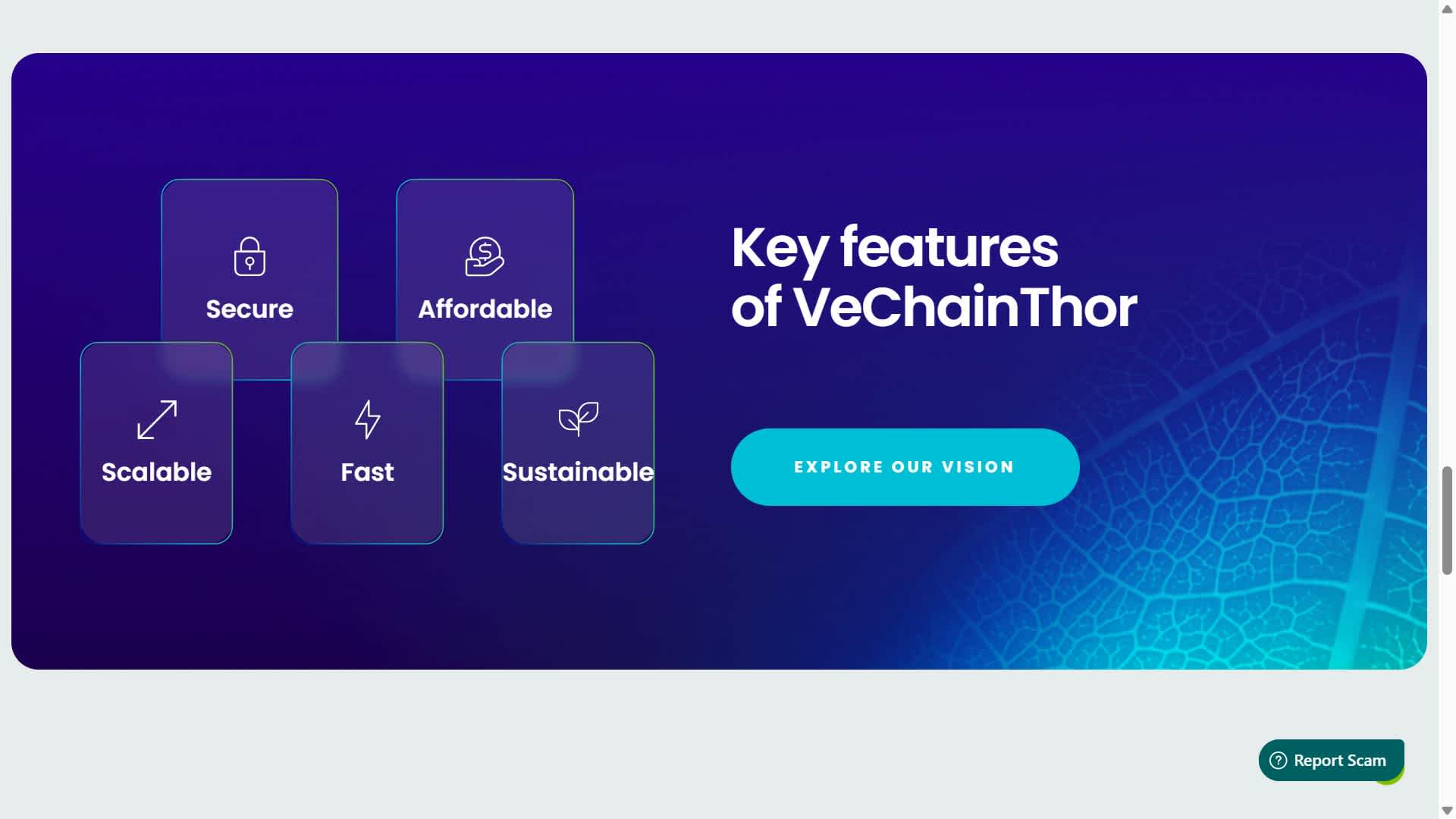 Is VeChain a good investment