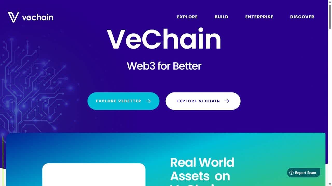 VeChain - best cheap crypto to buy now