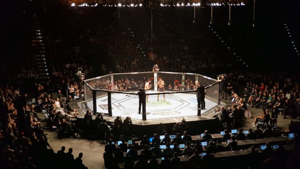 quanto um lutador de ufc ganha