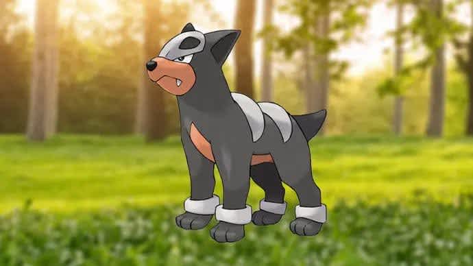 Houndour