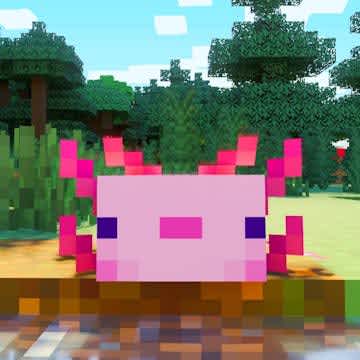 ajolote minecraft