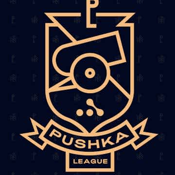 Secret wins WePlay! Pushka League