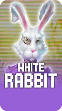 Play White Rabbit