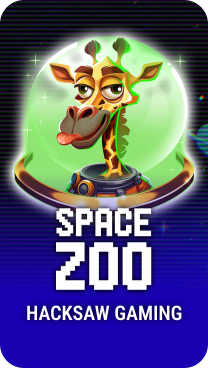 Play Space Zoo