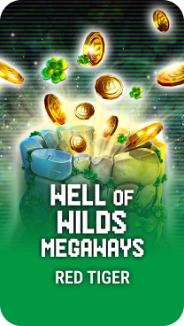Play Well of Wilds MegaWays
