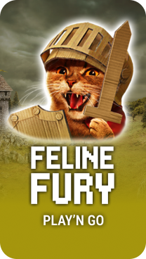 Play Feline Fury