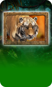 Play Jungle Spirit: Call of the Wild