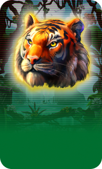 Play Rainforest Gold