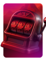 Made in Canada image