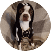 milo_2 avatar